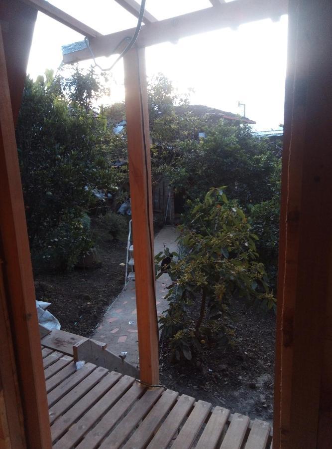 Blue Sky * Jardin